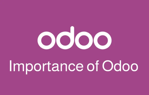 The Importance of Odoo ERP Software and its Uses