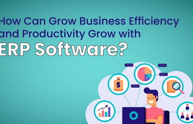 How to Grow Business Efficiency and Productivity with ERP Software?