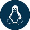 Linux VPS Server