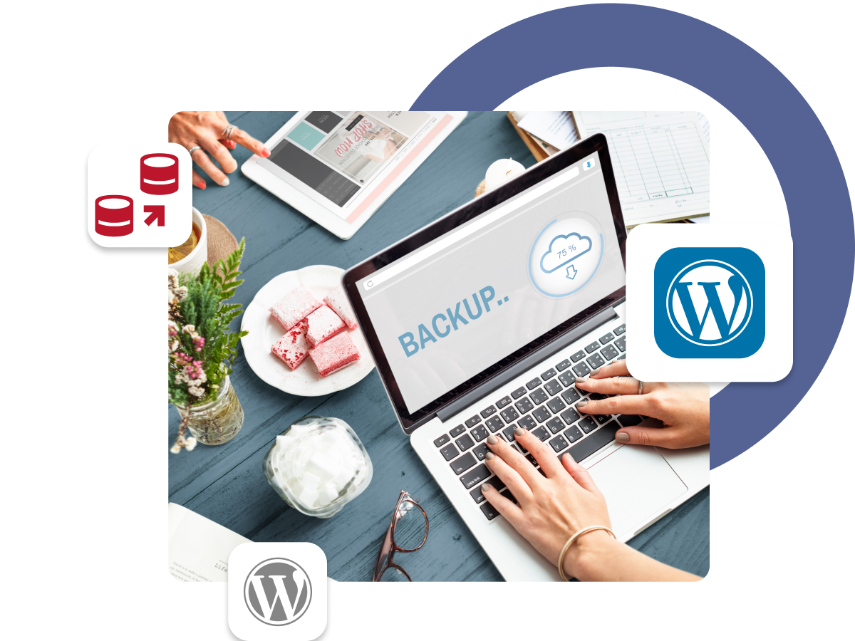 WordPress Migration Services | Seamless Website Transfer with Merak Tech