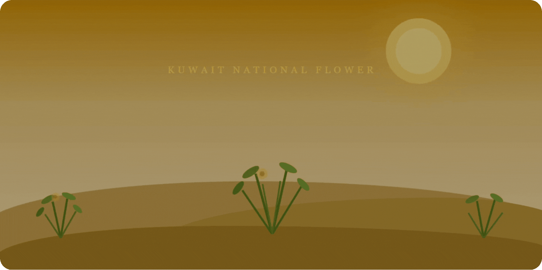 Al Arfaj Flower Kuwait: The Desert Bloom That Teaches Nations How to Lead
